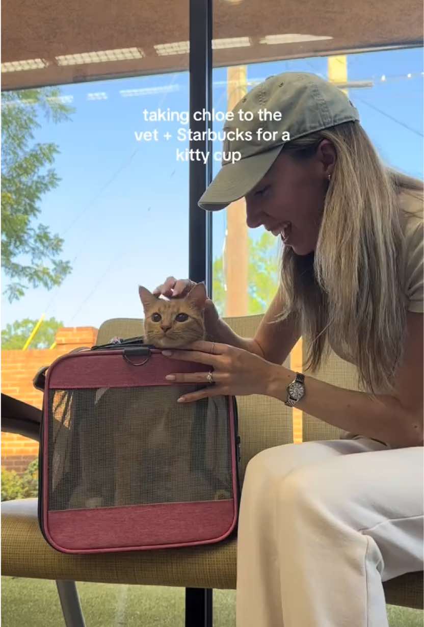 2nd Vet appointment for Chloe! I cherish these days with her 🐱 and love being a new cat mom, I also made and at home strawberry matcha that was delicious to kick off our girls day together! We love our vet in Charlotte at the Animal Medical Hospital and Urgent Care their staff is the sweetest! #catmom #catparent #vetappointment #starbucks #kittycup #spendthedaywithme #vet #newcat #cats #orangecat #veternarian 