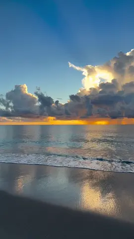 Some people water your soul. Others leave droughts. Choose wisely  🤍 #ocean #sunrise #beautiful #reflections