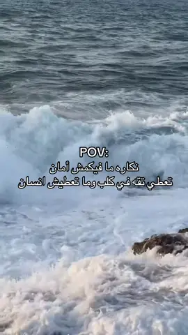 ليبيا 🇱🇾#طرابلس_نوفليين_بنعشور_جرابة_حي_الاندلاس #الشعب_الصيني_ماله_حل😂😂♥️🇱🇾🦋 #fyppppppppppppppppppppppp #standwithkashmir #explorebandung 
