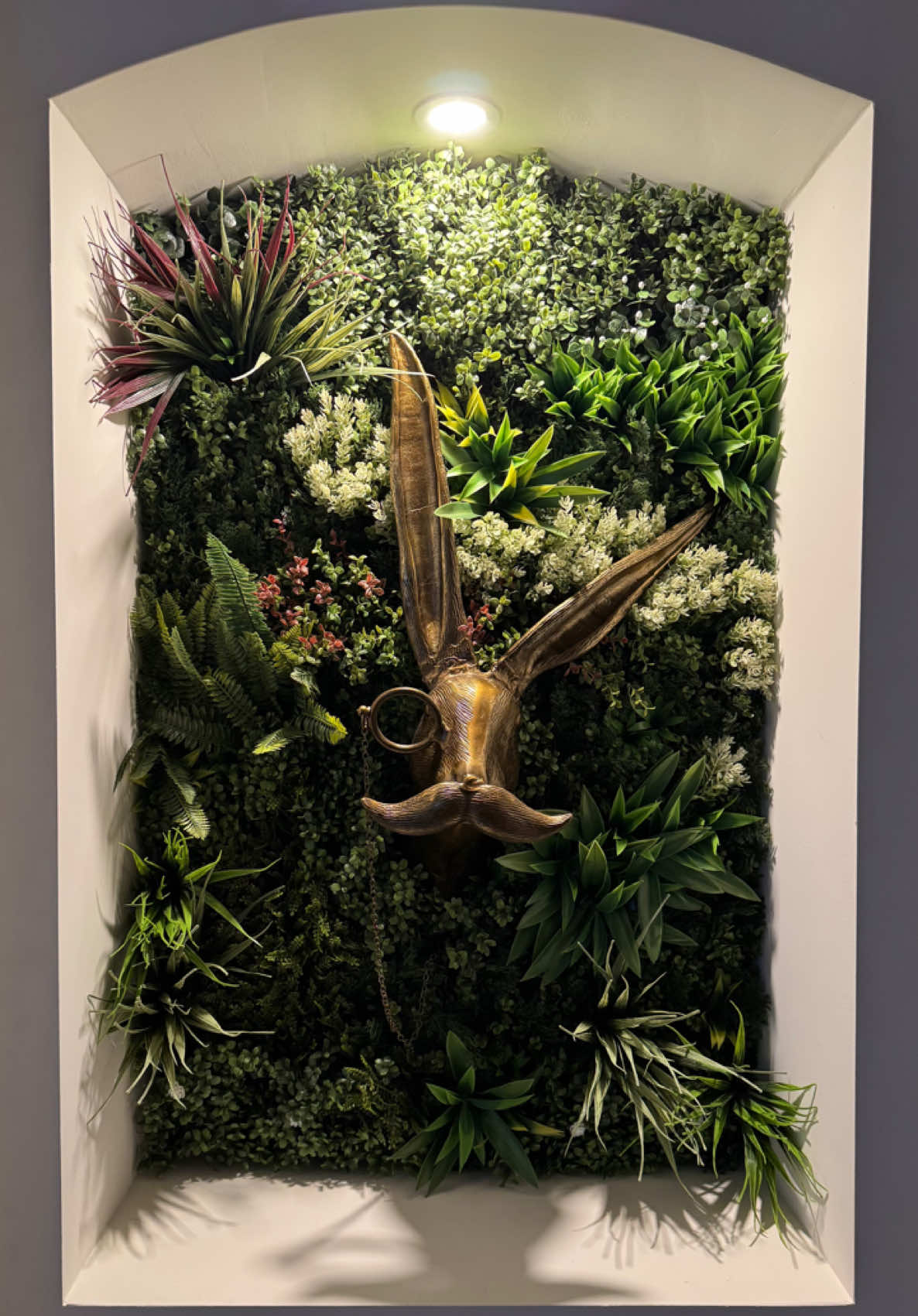 When you go down the rabbit hole. 🐰 🌱 🪴 #decorate #rabbitinahat #rabbitsoftiktok #homedecor #fyp #wallpaper #plants 