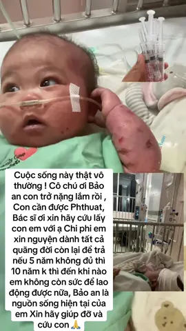 Xin hãy cứu lấy con em😔 Cầu mong phép màu sẽ đến với con 🙏#nammoadidaphat #xuhuongtiktok #trending #thinhhanh #xuhuong #viral #Share #fyp #giupdo #Baoan 