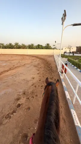 ثيو😔❤️🐎. #مربط_البراء_النسائي #فروسية #Horses #HorseLover #HorseRiding #HorseTraining #ShowJumping #Pony #HorseRider #عالم_الخيل #خيل_عربي  #fyp  #viral #fy