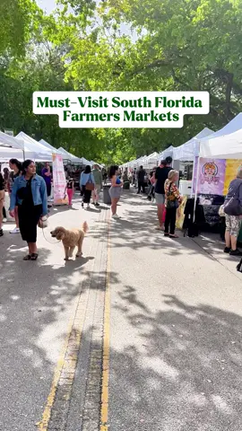 Who else agrees weekends are made for strolling through farmers markets? 🥕 Here’s what’s happening Aug 23–24 👇 Yellow Green Farmers Market 🕙 10:00 am – 6:30 pm 📍 3080 Sheridan St, Hollywood, FL 33021, USA Coconut Grove Farmers Market by Glaser Organic Farms 🕙 10:00 am – 6:00 pm 📍 3300 Grand Ave, Miami, FL 33133, USA Miami Lakes Farmers Market 🕙 10:00 am – 5:00 pm 📍 New Barn Rd, Miami Lakes, FL 33014, USA ✨ From live music and yoga at Yellow Green, to raw vegan eats at Coconut Grove, to a cozy community vibe at Miami Lakes, this weekend has something for everyone! Happy exploring! 🌞 #miamifriendors #supportlocal #SmallBusiness #supportsmallbusiness #shopsmall #thingstodoinmiami #shoplocal #farmersmarket #supportfarmers #familyowned #miamifestivals #thingstodo #weekendinmiami #miamifamilyevents #miamidayout #southfloridaevents #miamimarket #miamishopping #miamifarmersmarket #southfloridashopping #miamiartisanmarket #miamicrafters