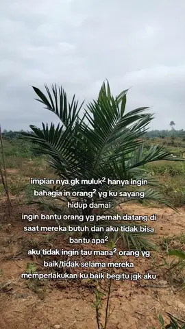 #Selasa_19_Agustus_2025 #sangatta #kalimantantimur #kebunsawit 