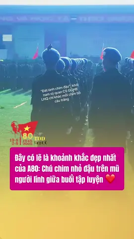 Biểu tượng hoà bình 