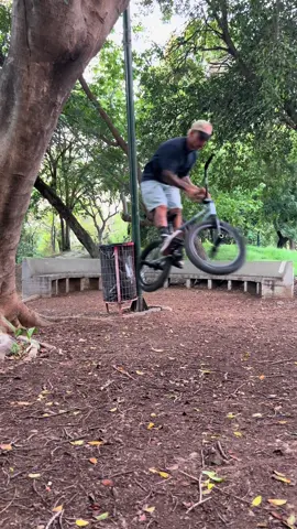 Wall ride on a curved bench, I love this spot ❤️ #bmx #bmxlife #bike #fun #wallride 