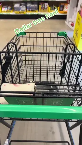 Dollar tree #onthisday #fyp #dollartreefinds #dollartreehaul #shopping 