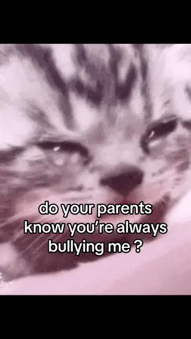 Tag them.. #cat #catsoftiktok #catmeme #couplecomedy #ilovemygf #fyp 