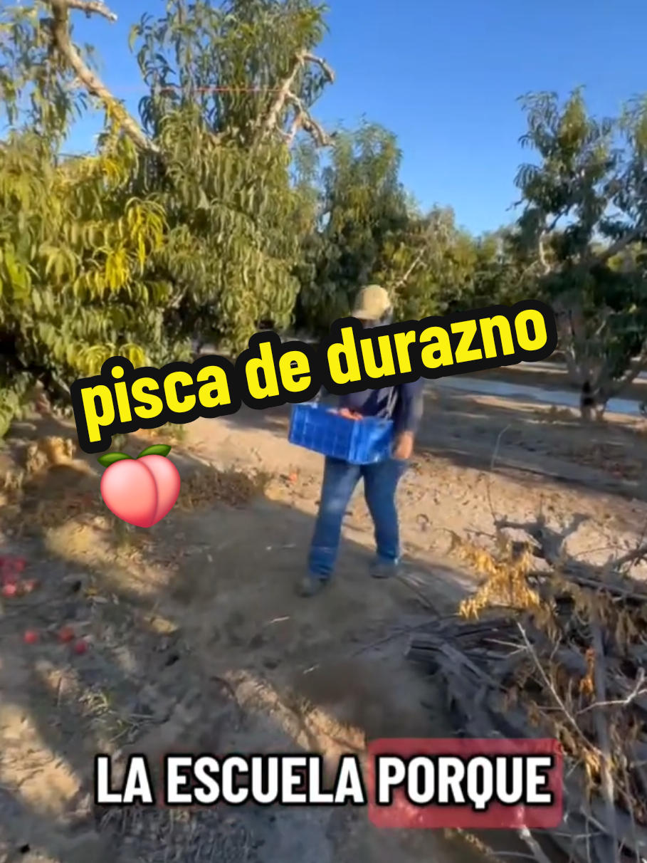 #trend #viralvideo #mexico#suenoamericano 
