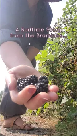 the sweetest invader in the PNW ✨️ #blackberry #foraging #pnw #invasivespecies #berrypicking 