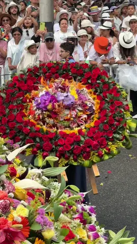 🌸✨ No nos cansamos de compartir estos videos llenos de color, alegría y tradición. Porque cada vez que pasa un silletero… ¡es Antioquia la que pasa, es nuestra historia la que camina, y es nuestro corazón el que late más fuerte! 💚💐 Nuestros silleteros son orgullo puro, son raíz, son cultura viva que nos recuerda de dónde venimos y por qué seguimos floreciendo como pueblo. 🌿🌺 👉 Dejá tu mensaje para nuestros silleteros, compartí este contenido con orgullo y contanos… ¿qué es lo que más te emociona del Desfile de Silleteros 2025?