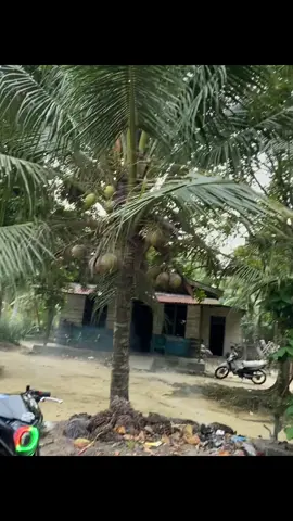 #crf150l #fyppp 