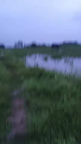các bác xem vui