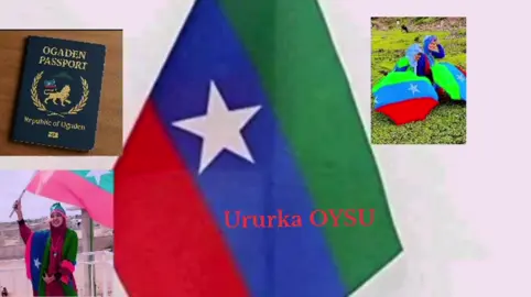 *Sanad Guuradii 41aad ee ONLF – JWXO*   *15 August 1984 – 15 August 2025* *Hambalyo!* Waxaa maanta ku beegan 41 sano guuradii kasoo wareegtay aas-aaskii Jabhadda Wadaniga Xoraynta Ogadenia (ONLF – JWXO), oo la aasaasay 15-kii Agoosto 1984-kii. Waa maalin taariikhi ah oo xasuus iyo qiimo u leh dhammaan shacabka Soomaaliyeed ee ku nool dhulka la gumeysto ee Ogadenia. Waxaa mudan in la xuso halgankii dheer, naf-hurnimadii iyo dadaalkii ay sameeyeen halgamayaashii hore iyo kuwa maanta ee u taagan xoraynta dhulka hooyo. *Waa 41 sano oo halgan, dulqaad, sabir iyo rajo.*   Waxaa la joogaa waqti xasaasi ah oo midnimo, feejignaan iyo fikir qaranimo looga baahanyahay dhamaan shacabka Soomaaliyeed ee Ogadenia iyo guud ahaan Soomaalida. Allaha u naxariisto kuwii halganka ku dhintay,   Allaha garab galo kuwa weli u taagan xaqa,   Allaha na mideeyo. **Hambalyo ONLF!   Hambalyo shacabka Ogadenia!   Hambalyo halganka xaqa ah!** *Mohamed Qorexey Ugaas*