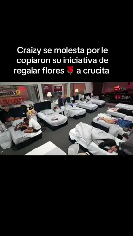 Craizy se molesta por le copiaron su iniciativa de regalar flores 🌹 a crucita #lacadadealofoker #santiagomatias #alofokeradioshowtiktok #alofoke #crayzray 
