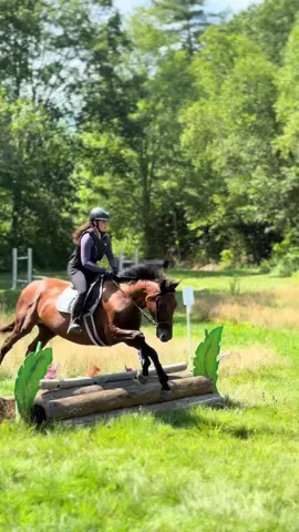 Imagine you’re just the queen of eventing and then one day, they put you away… you never jump again, you never dance dressage, you never race through the woods to conquer big dark obstacles again… I always wondered how old event horses felt and then I met Desi. Quiet, demure, but waiting, her body is older but her brain is as sharp as ever. Today was a gift to my favorite girl. I hope you loved every leap, every gallop, the wind through her ears… I love you Desi 🩷❤️🩷 thank you @katarina.hof6 for being her perfect pilot today 