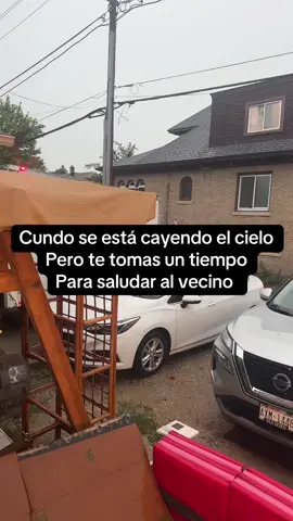 José Juan es bien sociable #fypシ゚viral🖤tiktok 