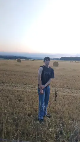 Hay
