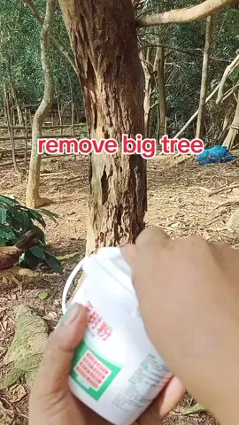 goobbye sa makukulit na kawayan at buho pati sa mga damo #killertree #available #order #affiliate 