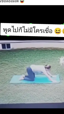 พูดไปก็ไม้มีใครเชื่อ ต้องดูเอาเอง😆😆#เทรนด์วันนี้ #ฟีดดดシ 