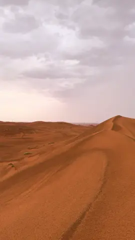 #اكسبلور #لايك #explor #شروره #الصيعر 