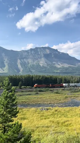 #train #westglacier #montana #railroad #fypシ 