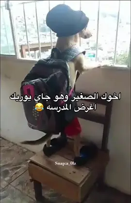 #في هذا اليوم 