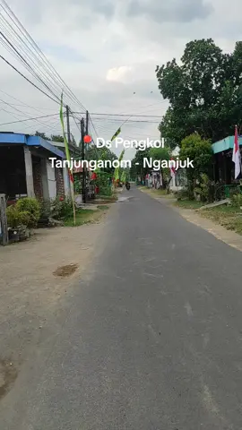 Syahdu bolo 🍃 #pengkol #tanjunganom #nganjuk24jam #jatim #fyp 
