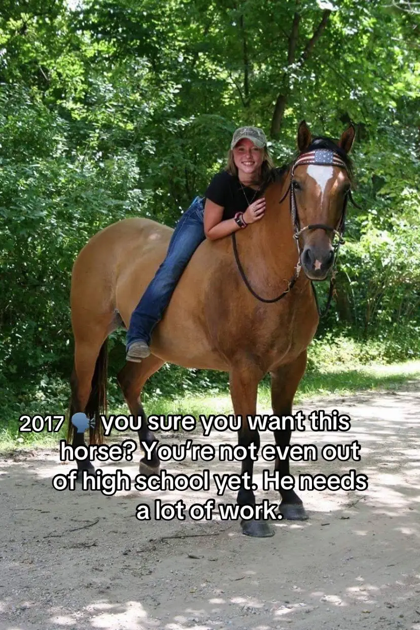 #goodhorses #geldingsoftiktok  #dunhorse #horse #forevermybaby 