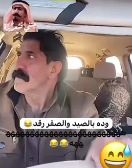 #صباح_الخير #الشعب_الصيني_ماله_حل😂😂 #اكسبلور #السعودية_الكويت_مصر_العراق_لبنان #tiktokviral 