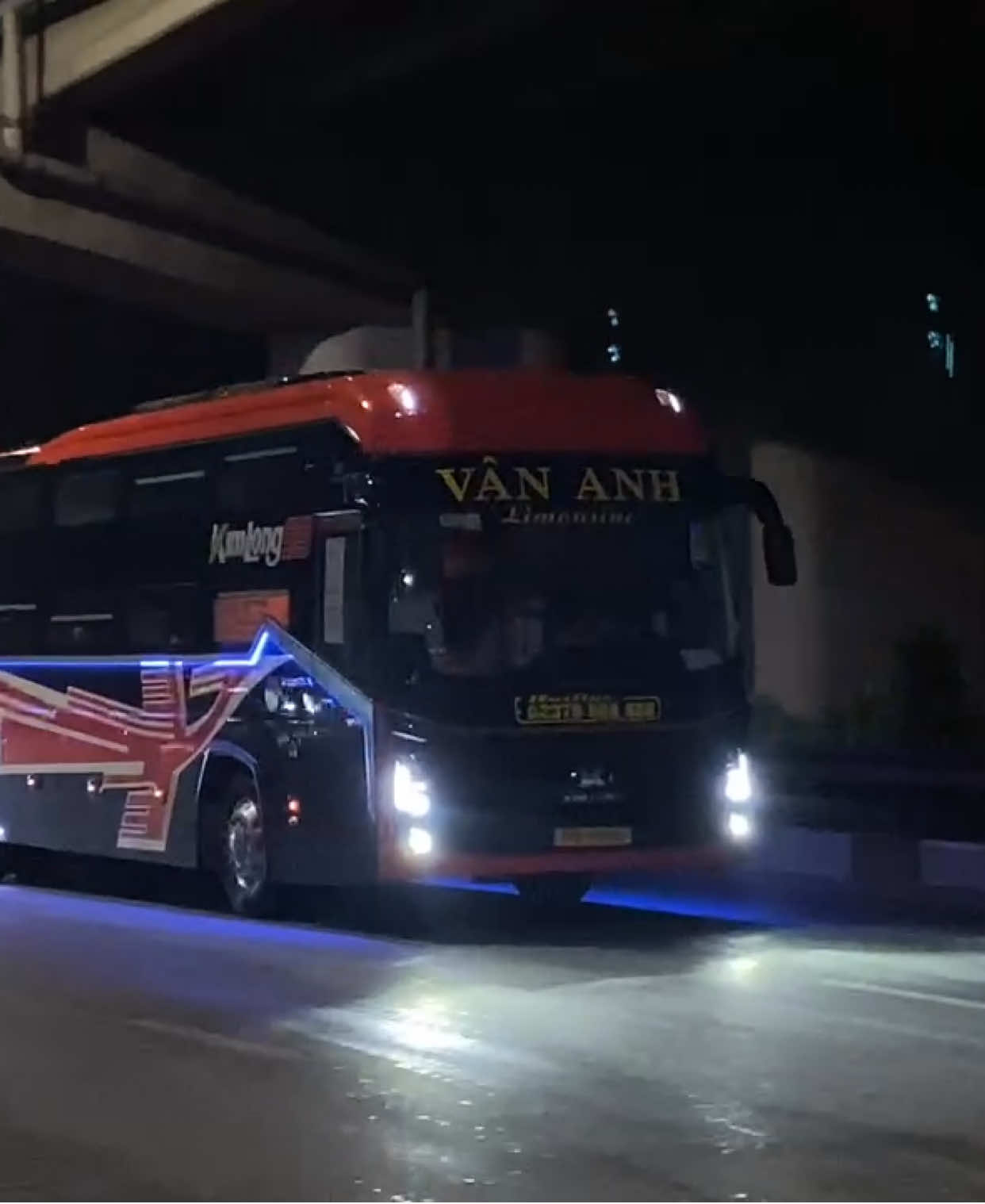Cánh chim hồng hạc của nhà Vân Anh Limousine#xekhachvietnam #fyp #vananhlimousine 