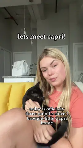 meet capri, my sweet angel baby who i love so much and can never do anything wrong #cat #straycat #catsoftiktok #cattok #catlover  