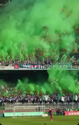 #مولودية🇧🇬🇧🇬_نعشق_فيهااا💚 #viragesud #مولوديةالجزائر💚♥️ #فلسطين #نحبو_مولودية_ونعزو_الرجاء 