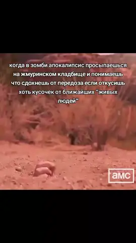 ладно что-то я ещё могу выдать #realsituation  #мурино #жмурино #ленобласть #зомби #вовсетяжкие #хейтмурино #хэнкшрейдер 