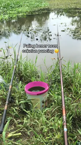 Daripada cekelan dee marai loro ati 🙃 @Hendri Setiawan #mancing #mancingikan #mancingikannila #orca #orcaprime 