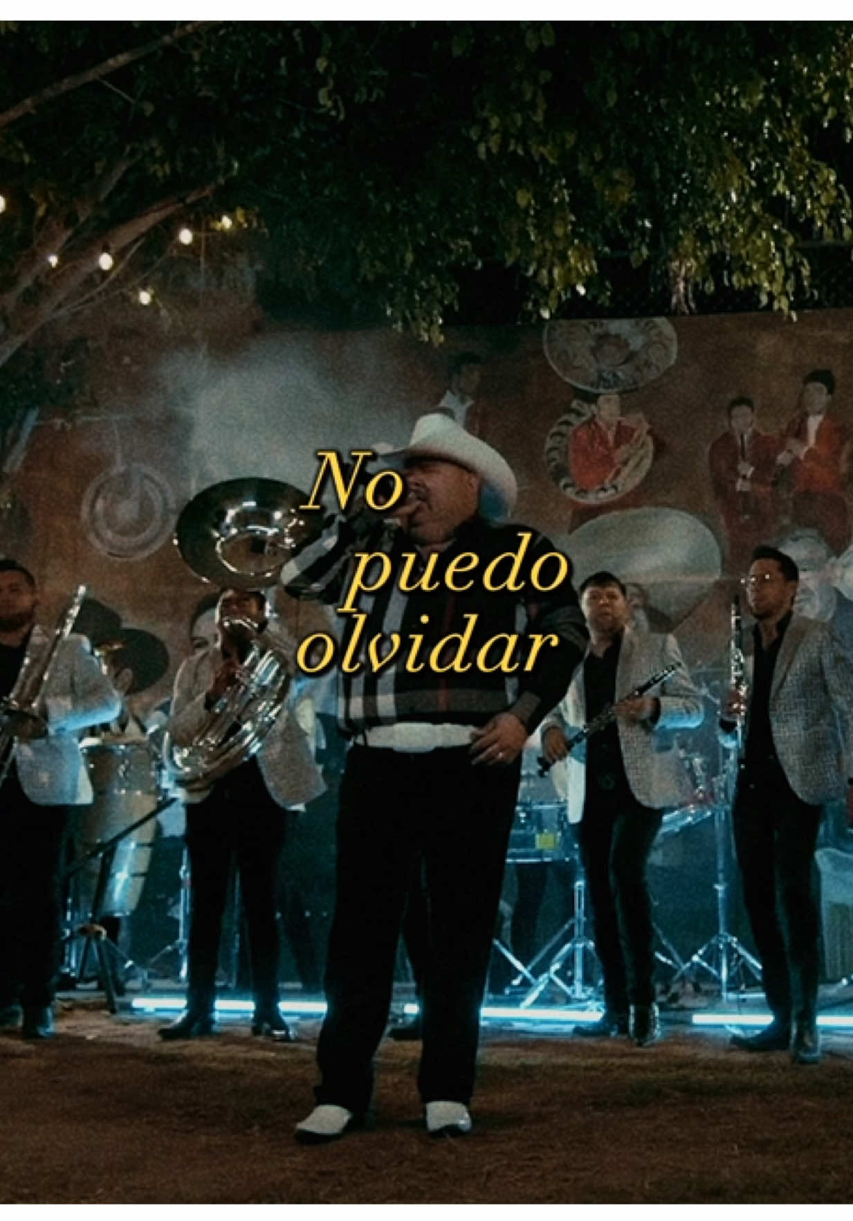No puedo olvidar tu voz 💔  #elcoyote #fyp #nopuedoolvidartuvoz 