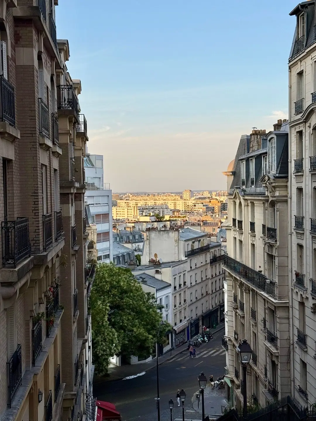 lil france dump
