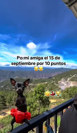 #CapCut #umor😹🤣😂 #compartan😎✌️🔥🎶 #15deseptiembre2025😹😂#etiquetenasuamiga😹🤣💃🏻🤭paratiiiiiiiiiiiiiiiiiiiiiiiiiiiii😹🤣💃🏻😂