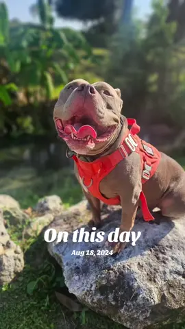 #onthisday