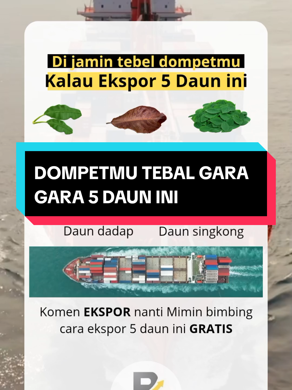 komen EKSPOR untuk ikut bimbingan ekspor Gratisnya #ekspor #ekspordaunpisang #eksportirindonesia #eksporindonesia #beraniexpor 
