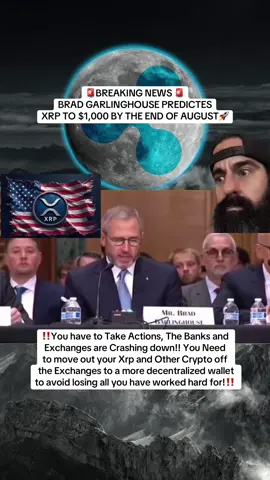 Ripple’s ceo Brad garlinghouse predicts xrp##xrp##xrppriceprediction##investing##ripple##viral