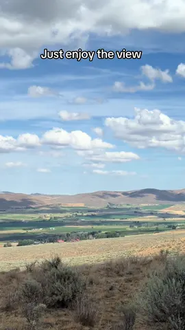 #view #views 