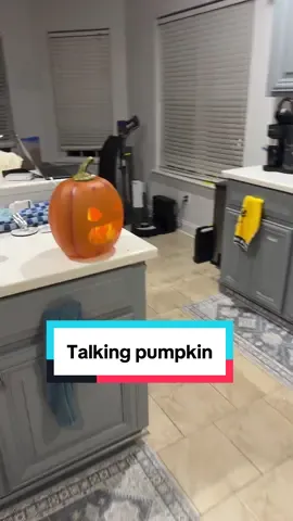 #TalkingPumpkin #JabberJack 
