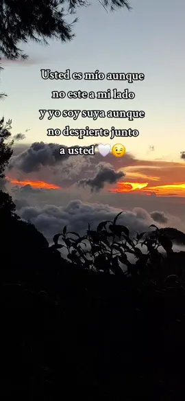 #fypシ゚ #fyppp #salsaparadedicar #salsaparaestados 