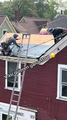 #lobo 