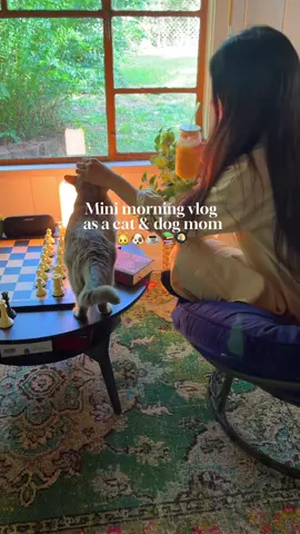 A lovely morning with my animals♥️🥰 #Vlog #breakfast #coffee #cattok #dogtok 