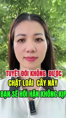 Khẩn cấp khẩn cấp giữ lạnh ngay cái loại cây này nếu trận đi bạn sẽ phí cả 1 gia tài#xuhuong #dshonghuy #suckhoe #xuongkhop #suygiantinhmachnang 