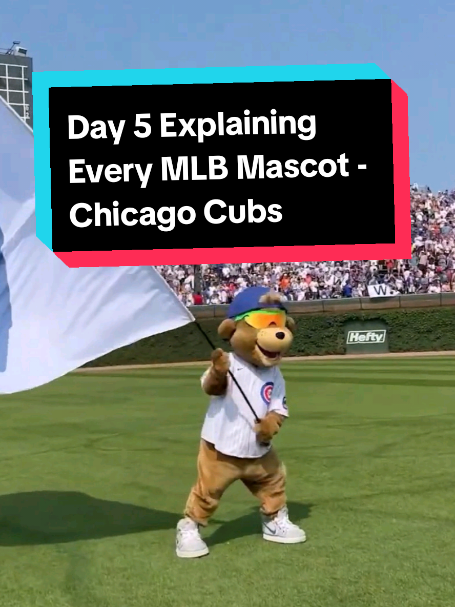 Day 5 of Explaining Every MLB Mascot - The Chicago Cubs' 