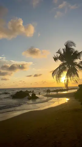 #viral_video #tiktoksenegal🇸🇳 