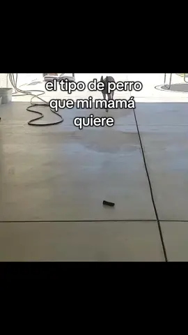 #viral ayúdenme a llegar a 50 seguidores 